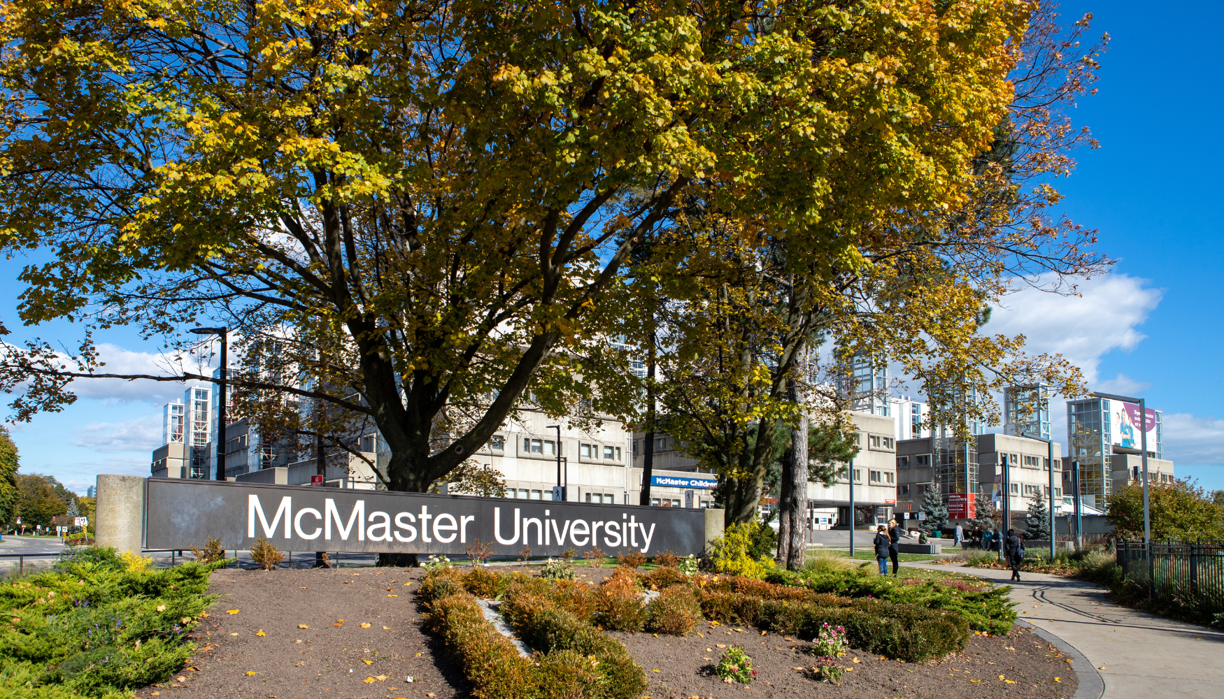 McMaster University sign in front of a tree and building
